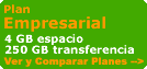 Plan Alternativo