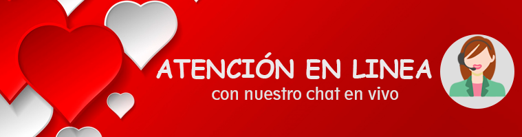 hosting peru soporte