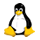 hosting peru linux